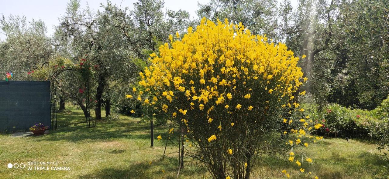 Podere San Pierino Montelupo Fiorentino Esterno foto